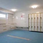 Vogelsand 323
